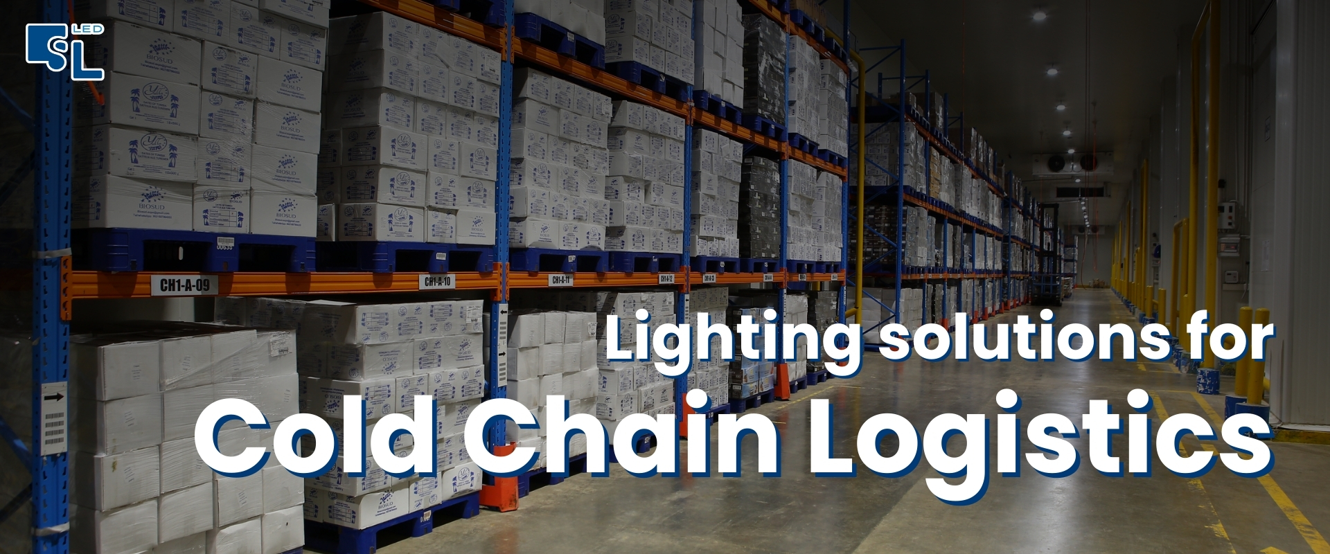 เจาะลึกมาตรฐานแสงสว่าง "คลังสินค้าห้องเย็น" (Cold Storage) และเทคนิคเลือกโคมไฟทนความชื้น/อุณหภูมิติดลบ