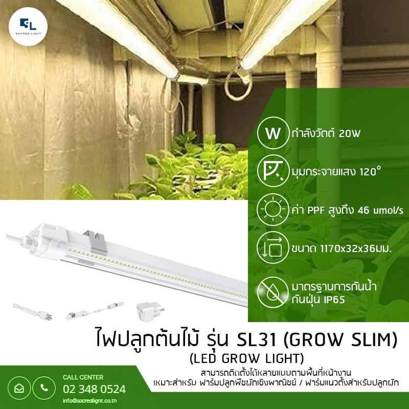 ไฟปลูกต้นไม้ รุ่น SL31 GROW SLIM (LED GROW LIGHT SL31 Series)