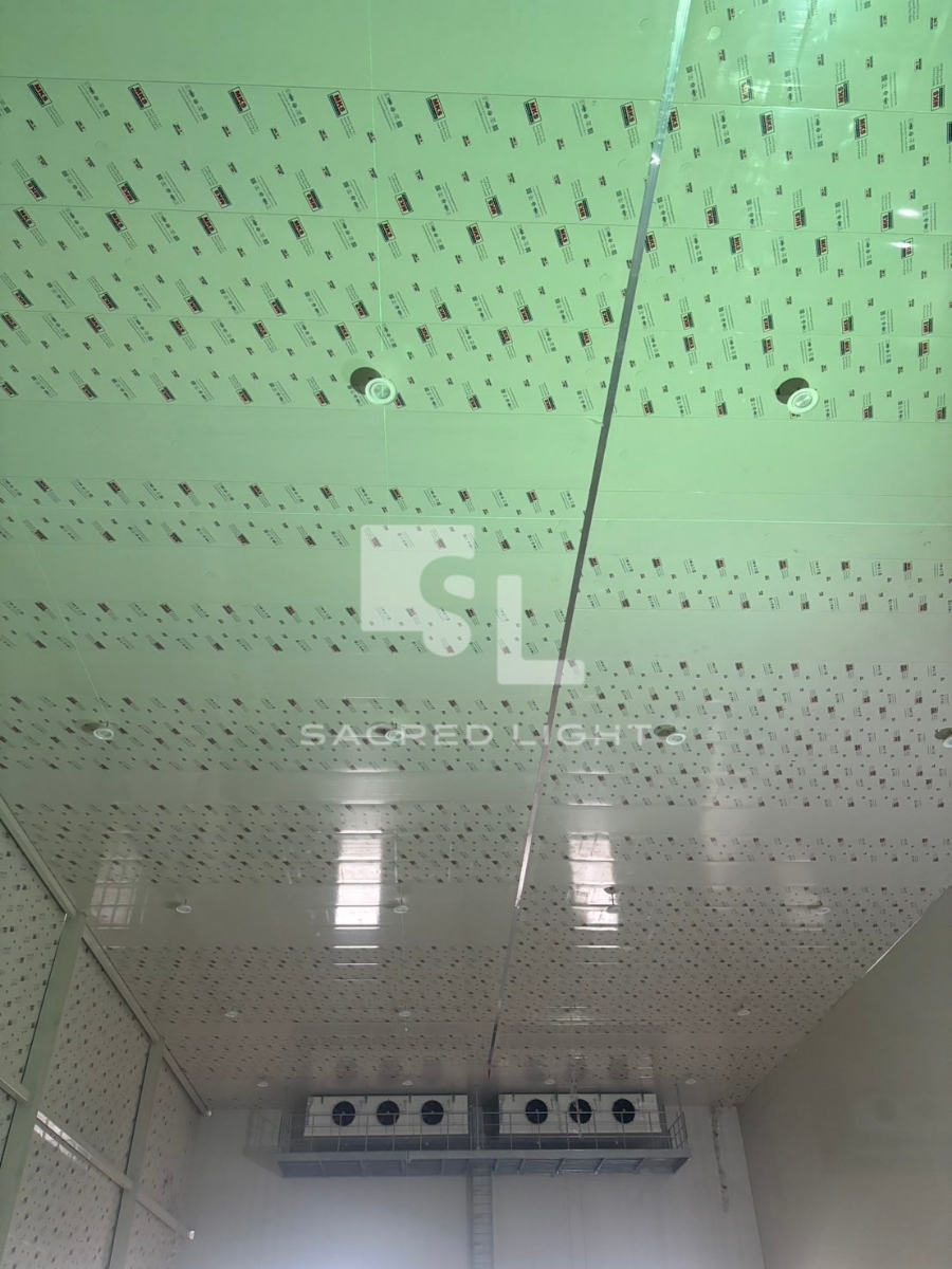 ผลงานการติดตั้งโคมไฟไฮเบย์ LED Clean Room โรงงานห้องเย็น บางเสาธง @สมุทรปราการ