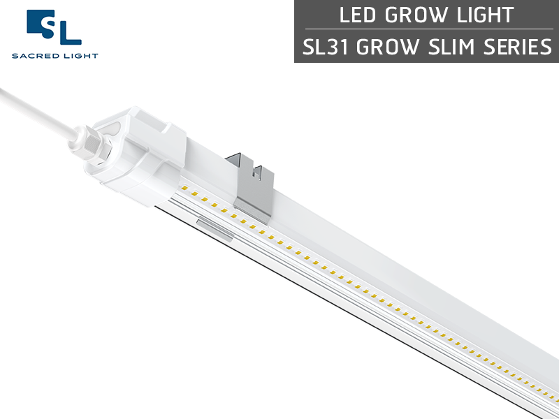 ไฟปลูกต้นไม้ LED (LED Grow Light) : รุ่น SL31 GROW SLIM