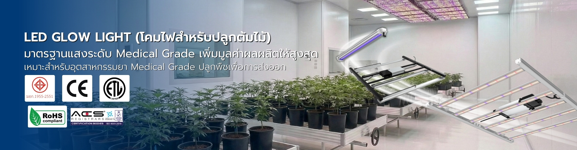 ศูนย์รวม LED Grow Light สำหรับ Plant Factory และบริการ ออกแบบแสงสว่างไฟโรงงาน ครบวงจร