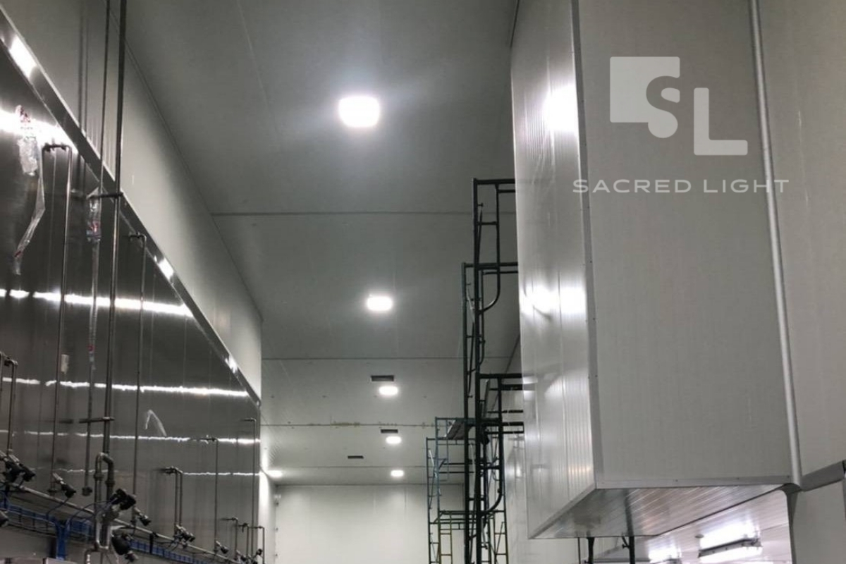 ติดตั้งโคมไฟฝังฝ้า LED CP2 โรงงาน พนัสนิคม ชลบุรี