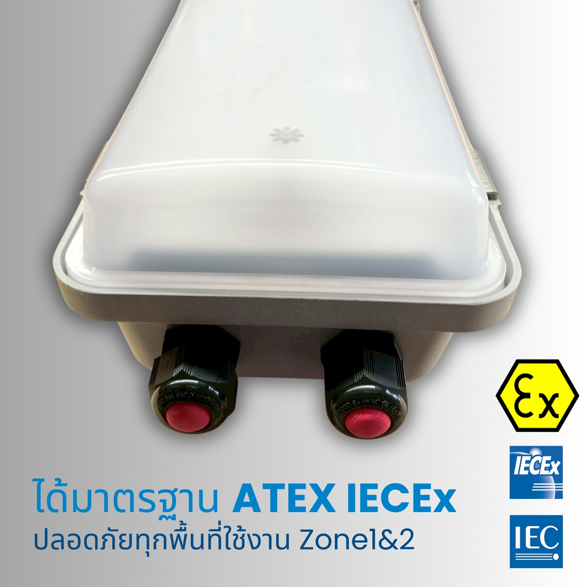 โคมไฟกันระเบิด NEW BYS Series มาตรฐาน ATEX IECEx