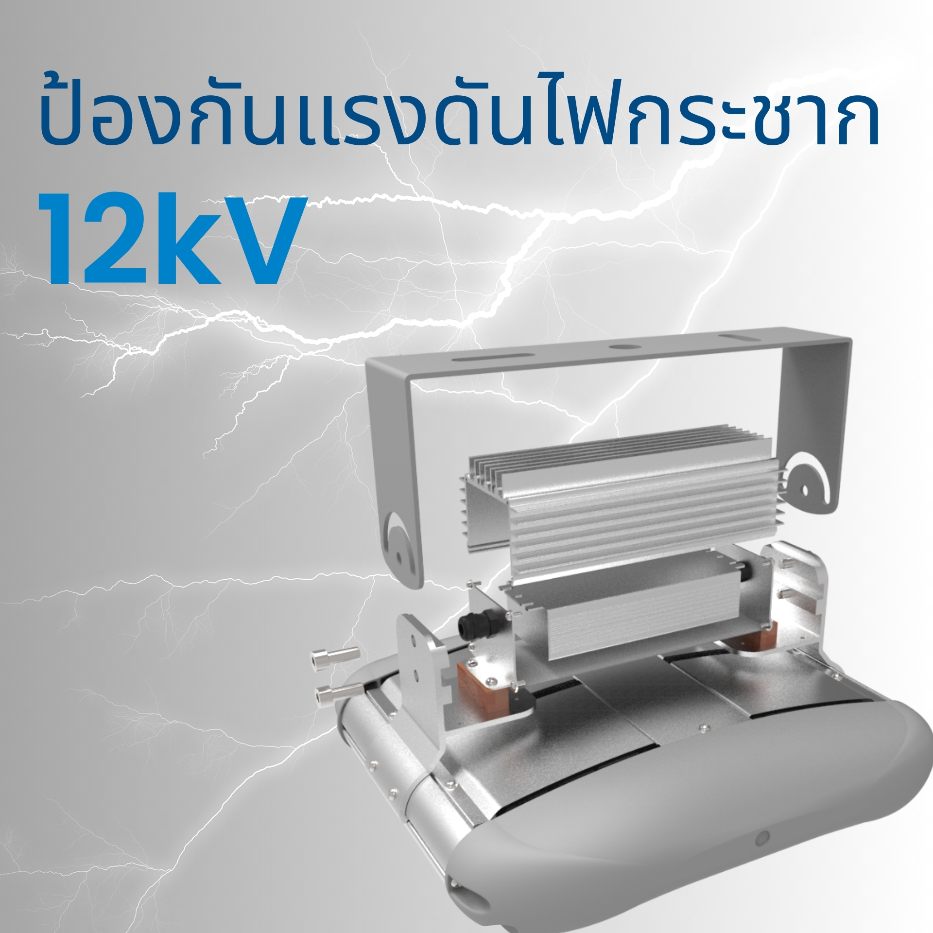 ระบบป้องกันไฟกระชาก Surge Protection 12kV